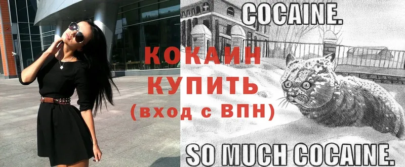 Cocaine Fish Scale  mega ССЫЛКА  Мурманск 